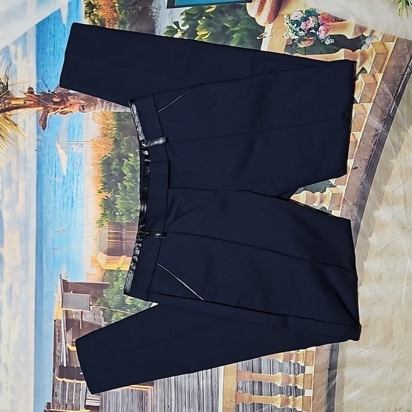 Ann Taylor Pleated Dress Pants Size 4 NWT - Picture 2 of 6